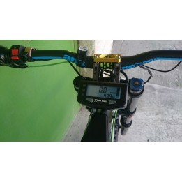 LMX 81